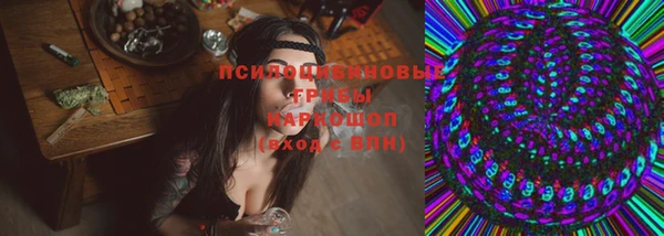 мет Белокуриха
