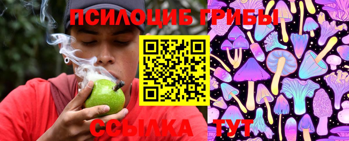 Галлюциногенные грибы Magic Shrooms  Псилоцибиновые грибы Cubensis  Маркс  Вход с VPN 